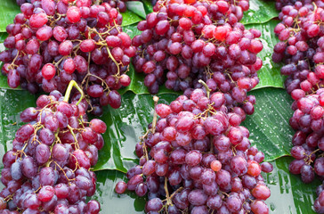 fresh grapes purple in the local market