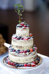 Delicious chocolate wedding cake decorated with fruits and berries