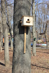 houses for the birds birdhouses