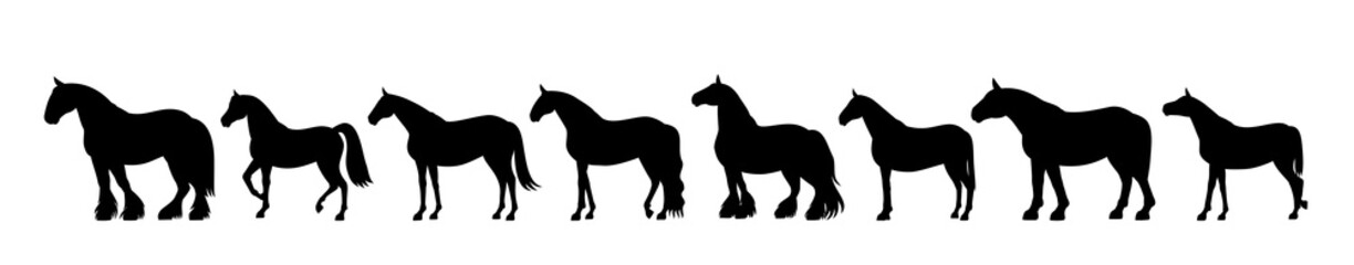Fototapeta na wymiar Horse silhouette banner