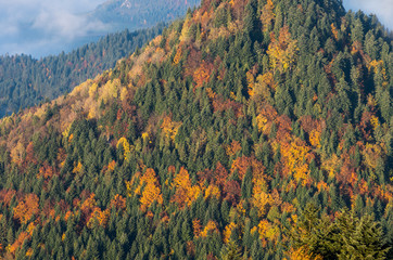 Colorful Pieniny mountains, autumn, Poland