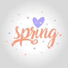 hello spring lettering, handwritten and calligraphy vector illustration