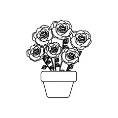 silhouette roses in pot with stem and leaves floral design vector illustration