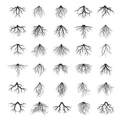 Big set of roots and element of trees. Vector Illustration.