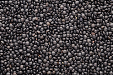 Food and cookery background of healthy dried  black lentils.