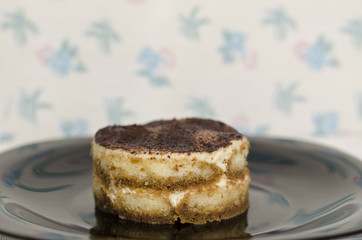 Homemade piece of Tiramisu cake on a plate