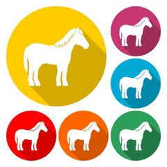 Horse silhouette - Vector - Illustration