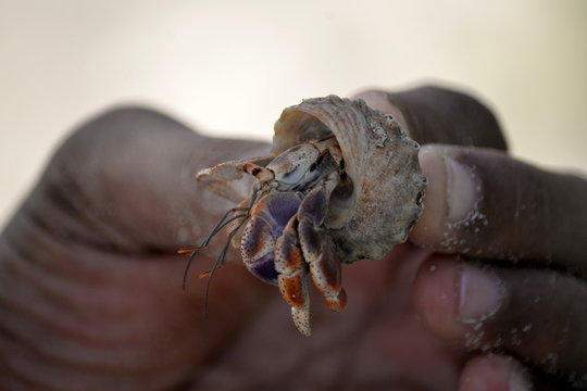 รูปภาพHermite เลือกดูภาพถ่ายสต็อก เวกเตอร์ และวิดีโอ172 Adobe Stock