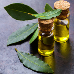 Natural bay laurel essential oil for beauty and spa