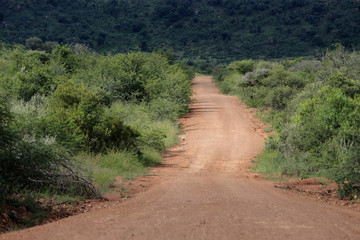 Droga przez sawannę