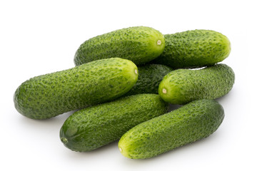 The first spring ecologically cucumbers.