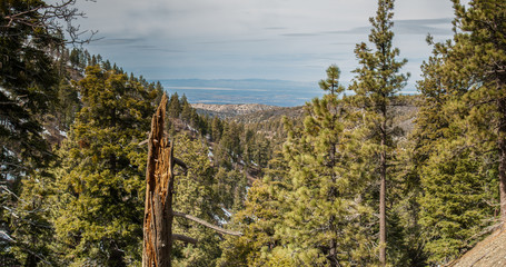 Panoramic view of Angeles National Forest looking toward California desert.
