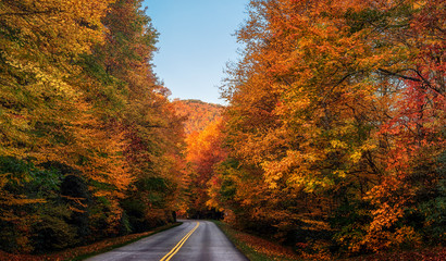 Autumn Drive on the Blue Ridge Parkway near Grandfather Mountain North Carolina