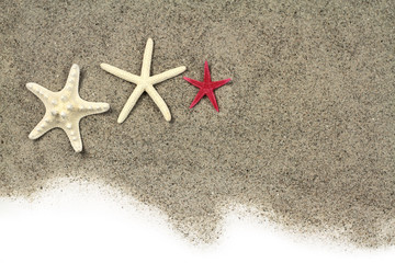 Fototapeta na wymiar Seastars on beach sand