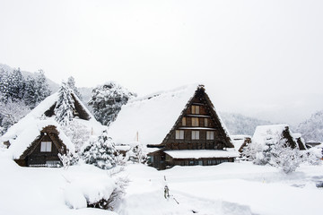 Historic Village of Shirakawago