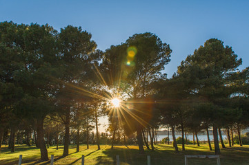 Parkanlage mit kleinem Wäldchen am Etang de Gruissan mit strahlender Gegenlicht Sonne