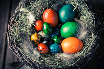 Various eggs for Easter in wooden small henhouse