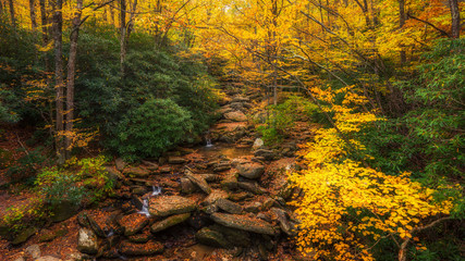 Grandfather Mountain Tanawha Trail in Autumn