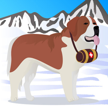 St Bernard dog lifesaver in mountains