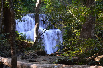 beautiful waterfalls in Thailand