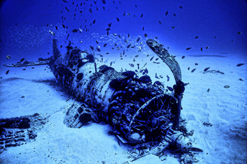 The Corsair