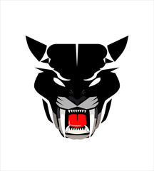 panther, staring panther , wild cat.