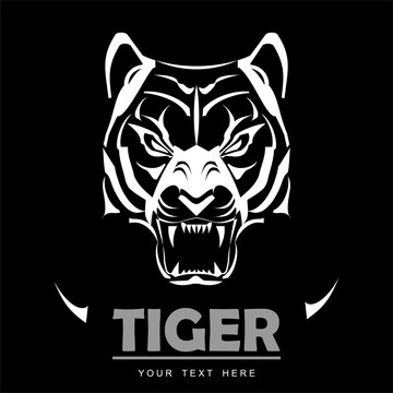 tiger, tiger head on black