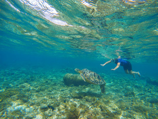 Woman swimming with sea turtle. Exotic sea animal. Tropical island vacation sport activity.