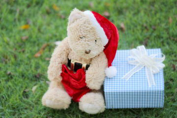 Teddy bear and gift boxes on the lawn.