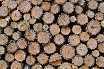 Möbelaufkleber Log wood pile © Gudellaphoto