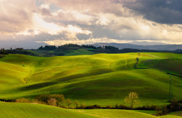 Fototapeta na wymiar Scenic view of a tuscany countryside near Siena, Italy