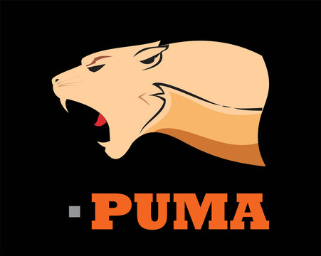 Puma Head. Elegant Bold muscular cougar