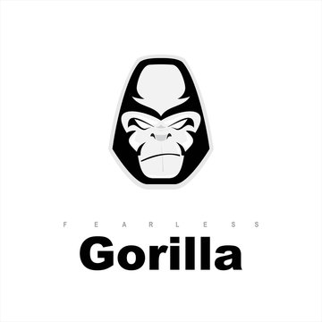 gorilla. gorilla head. gorilla face.