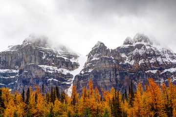 Fototapeta na wymiar Larch Valley in the Canadian Rockies