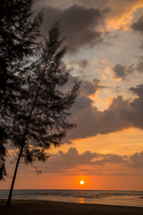 Fototapeta na wymiar Tree and beautiful sky on the beach Thailand