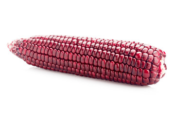 fresh red color corn isolated on white background with clipping path