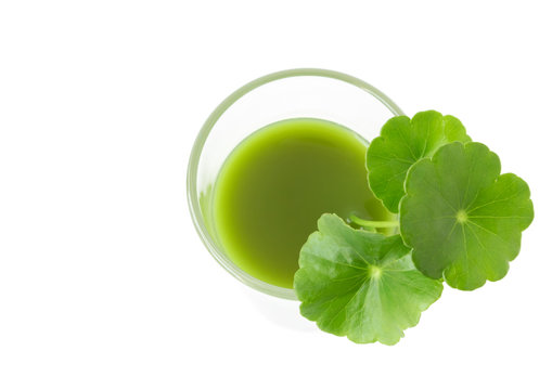 Closeup top view Gotu kola's leafs drink on white background, health care and herb medical concept
