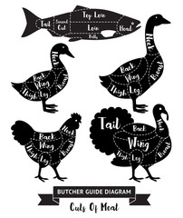 Butcher guide cuts of meat diagram. Vector illustrations.
