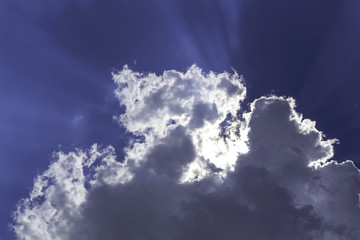 Fototapeta premium Blue sky with cloud closeup