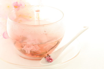 Sakura tea for Japanese spring image