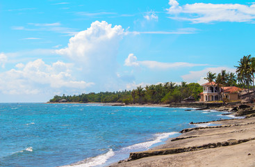 Fototapeta premium Tropical landscape with sea, beach and palm tree. Sand beach view with palms and house.