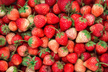fresh ripe red strawberry background