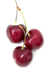 ripe red cherry on a white background