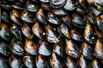Turkish Street Food Stuffed Mussels / Midye Dolma