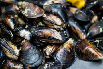Turkish Street Food Stuffed Mussels / Midye Dolma