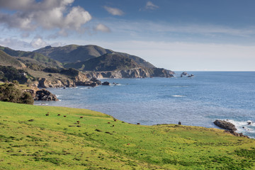 Views of Big Sur Coastline and Bixby Bridge. California Central Coast, USA