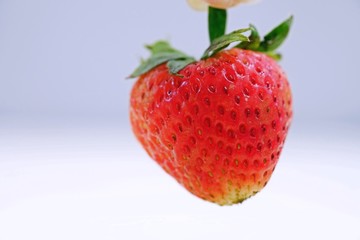 Close Up Red Strawberry