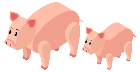 3D design for farm pigs