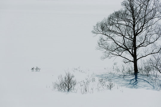 background image of snow in winter