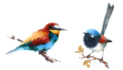 Bee-eater and Titmouse Two Birds Watercolor Hand Painted Illustration Set isolated on white background